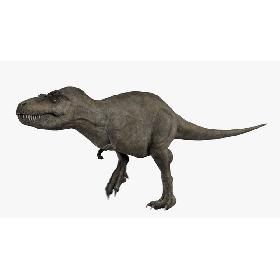 3D T-Rex Animated